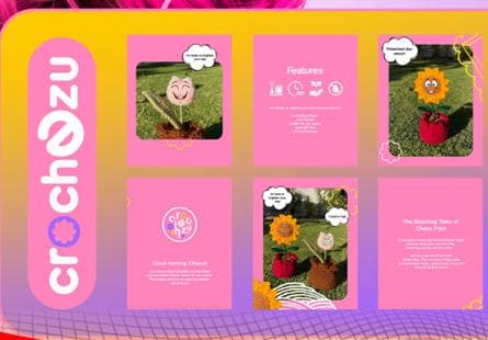 Crochezu — case study