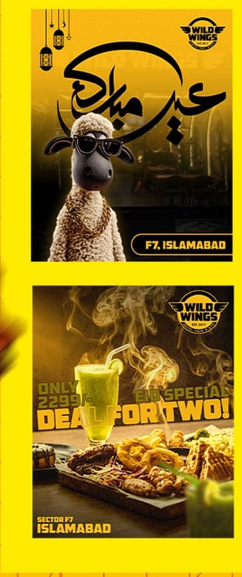 Wild Wings — shot 1